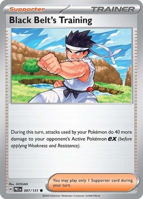 Black Belt's Training, Prismatic Evolutions