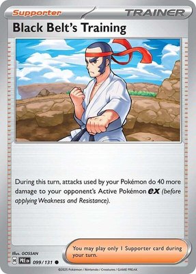 Black Belt's Training, Prismatic Evolutions