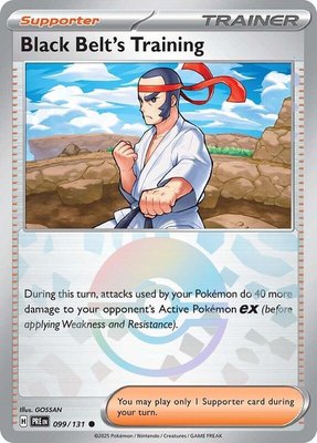 Black Belt's Training (Poke Ball Pattern), Prismatic Evolutions