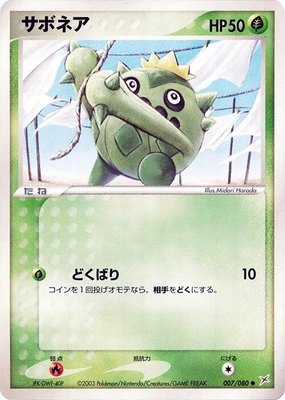 Cacnea, Magma VS Aqua: Two Ambitions