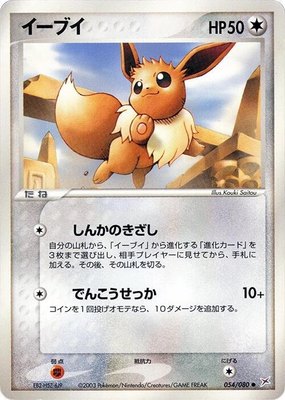 Eevee, Magma VS Aqua: Two Ambitions