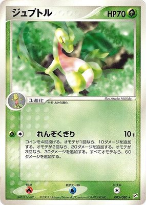 Grovyle, Magma VS Aqua: Two Ambitions