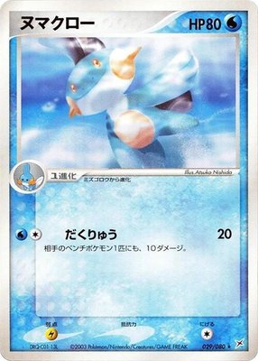Marshtomp, Magma VS Aqua: Two Ambitions