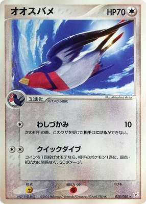 Swellow, Magma VS Aqua: Two Ambitions