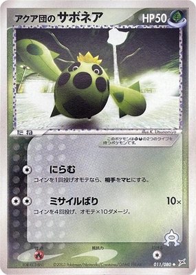 Team Aqua's Cacnea, Magma VS Aqua: Two Ambitions