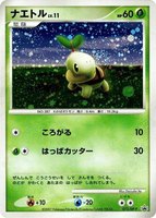 Turtwig -P