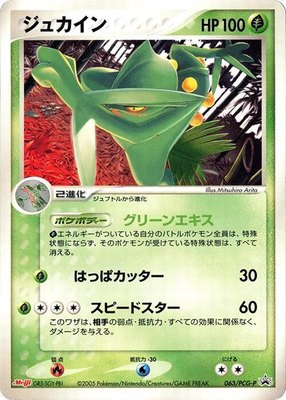 Sceptile -P, PCG-P Promotional cards