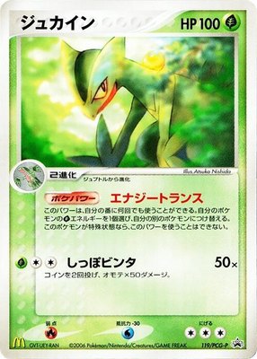 Sceptile -P, PCG-P Promotional cards