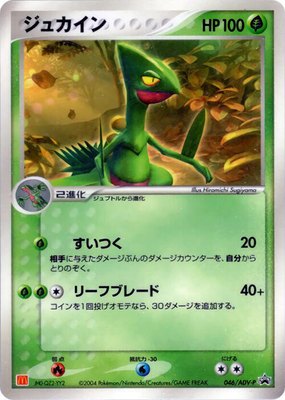 Sceptile -P, ADV-P Promotional cards