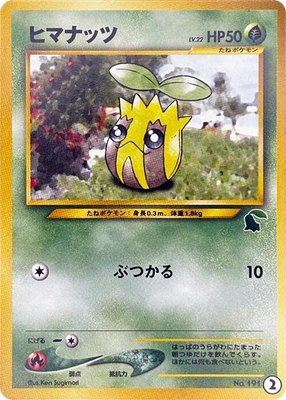 Sunkern, Intro Pack Neo (Chikorita)