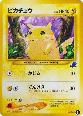 Pikachu, Intro Pack Neo (Totodile)