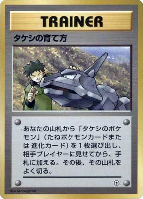 Brock's Training Method, City Gym Decks