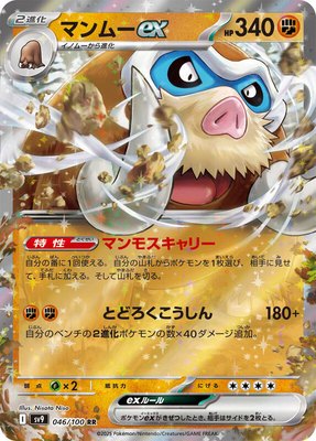 Mamoswine ex, Battle Partners