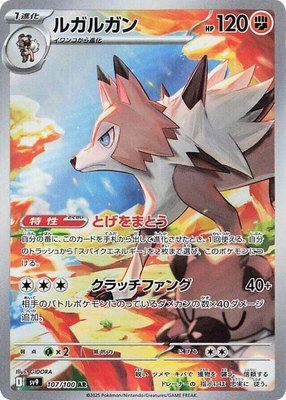 Lycanroc, Battle Partners