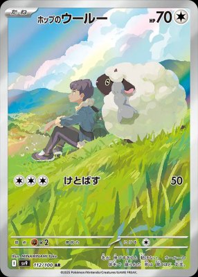 Hop's Wooloo, Battle Partners