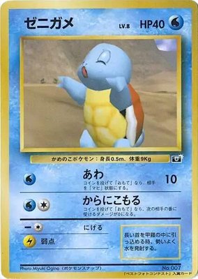 Squirtle, 64 Mario Stadium Best Photo Contest