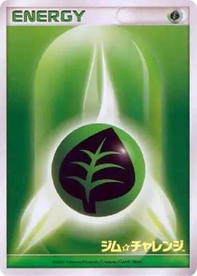 Basic Grass Energy (2006), Gym Challenge
