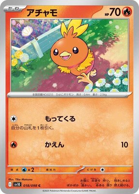 Torchic, The Glory of Team Rocket