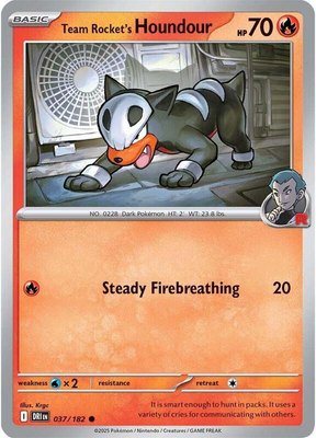 Team Rocket's Houndour, Destined Rivals