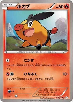 Tepig -P, BW-P Promotional cards