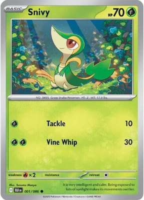 Snivy, Black Bolt