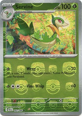 Servine (Master Ball Pattern), Black Bolt
