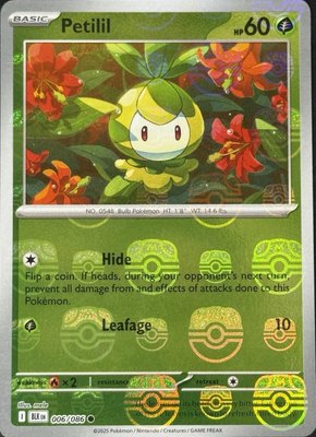 Petilil (Master Ball Pattern), Black Bolt