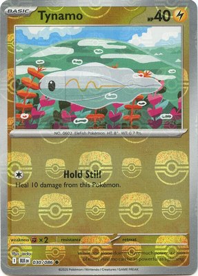 Tynamo (Master Ball Pattern), Black Bolt