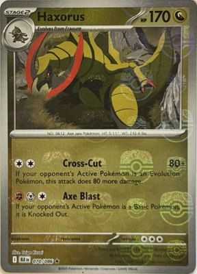 Haxorus (Master Ball Pattern), Black Bolt