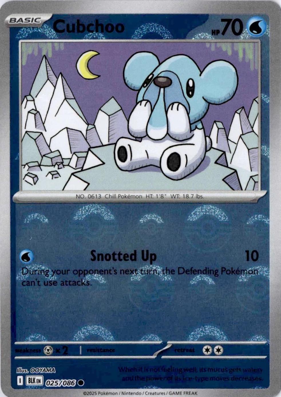 Cubchoo (Poke Ball Pattern), Black Bolt
