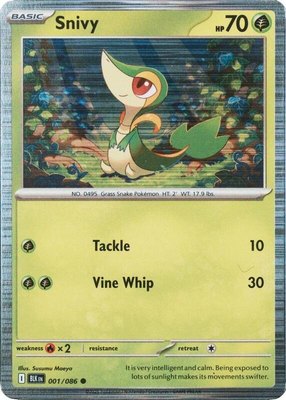 Snivy (Unova Poster Collection), Miscellaneous Cards & Products