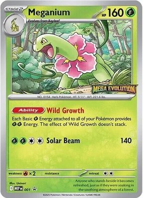 Meganium, Mega Evolution Promo