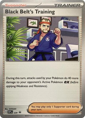 Black Belt's Training, Scarlet & Violet Promo Cards