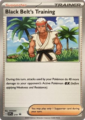 Black Belt's Training, Scarlet & Violet Promo Cards