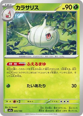 Silcoon, High Class Pack: MEGA Dream ex