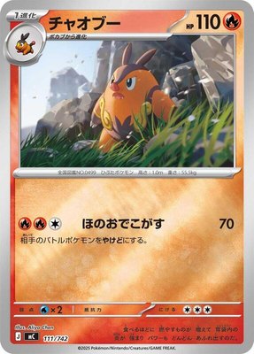 Pignite (Mirror Holo), Start Deck 100 Battle Collection