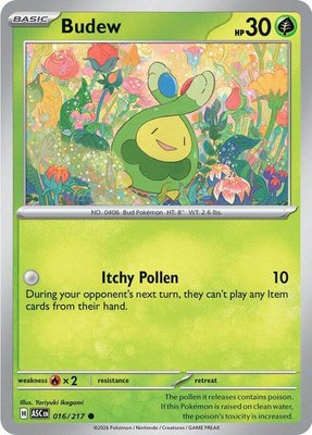 Budew, Ascended Heroes
