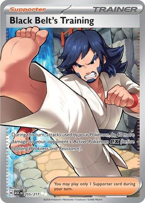 Black Belt's Training, Ascended Heroes