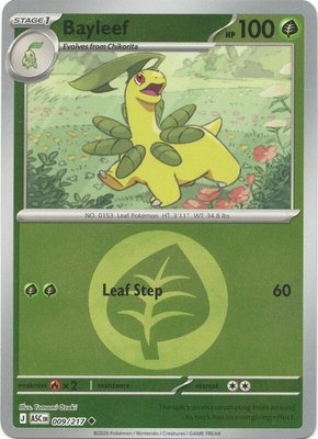 Bayleef (Energy Symbol Pattern), Ascended Heroes