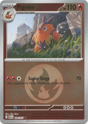 Pignite (Energy Symbol Pattern), Ascended Heroes