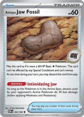 Antique Jaw Fossil, Perfect Order