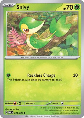 Snivy, Perfect Order