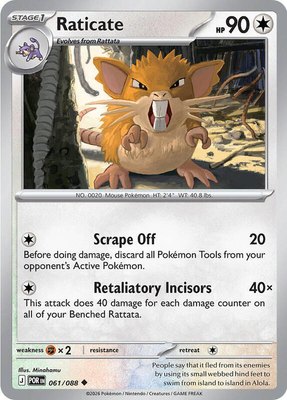 Raticate, Perfect Order