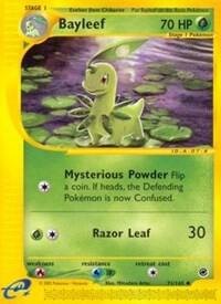 Bayleef, Expedition