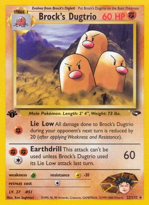 Brock's Dugtrio, Gym Challenge