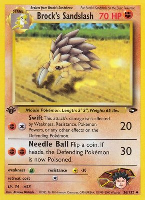 Brock's Sandslash, Gym Challenge