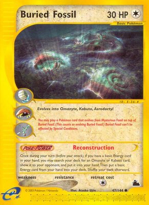 Buried Fossil, Skyridge