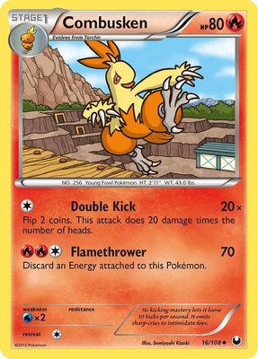 Combusken, Dark Explorers