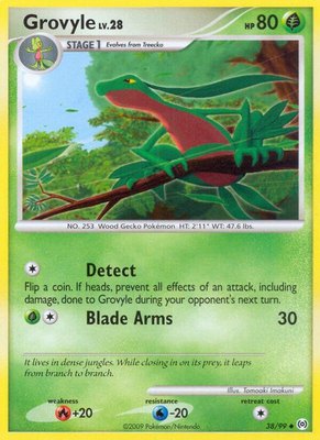 Grovyle (38), Arceus