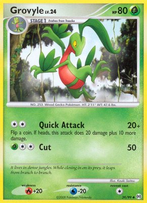Grovyle (39), Arceus